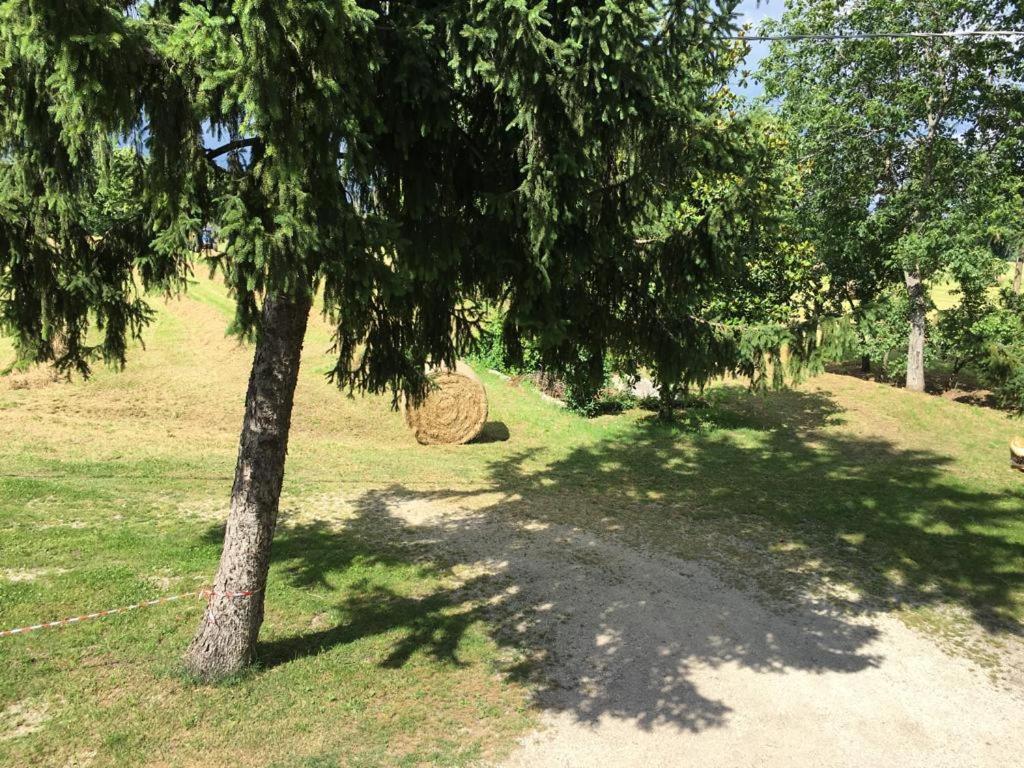 B&B Il Fienile Calcinato 外观 照片